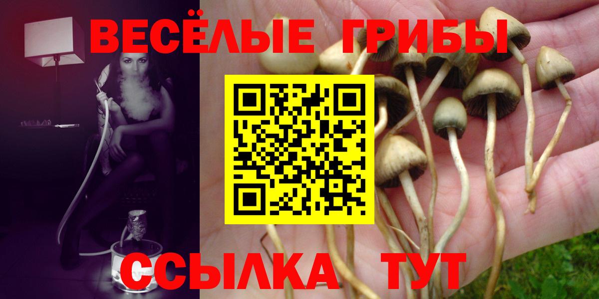 Галлюциногенные грибы мухоморы Северобайкальск